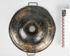 Foto von Bronzebreitrandfußschale (NHMW-PRAE-025182)